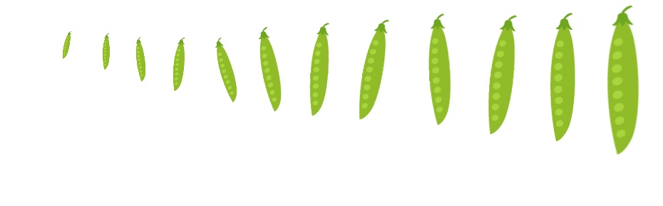 内田悟の八百屋のやさいごはん